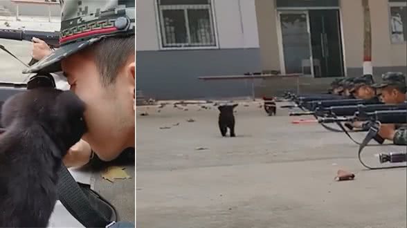 小狗狗一吻定终身，陪伴兵哥训练，将它变为合格的搜救犬