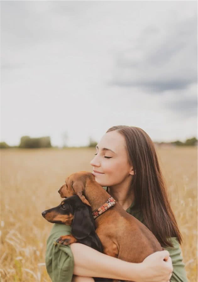 慢性肾脏病：犬的肾脏衰竭意味着什么？