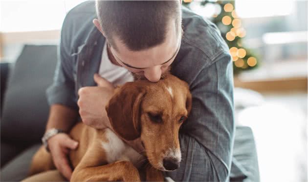 什么是犬淋巴瘤？狗狗中最常见的癌症之一，主人要更了解它