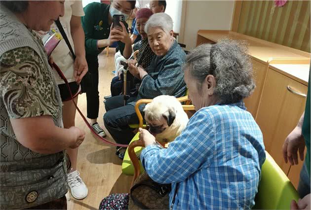 “狗医生”助力孝老公益，宠物陪伴开启养老新风向