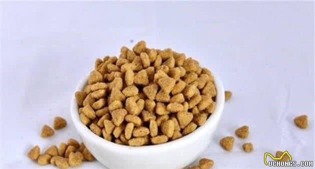 因为这个，一个月总有那么三十天不想养猫