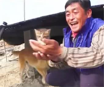 大黄狗捡奶猫带回家照顾，还奇迹般产生奶水，将猫喂养长大