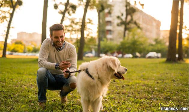 想让狗狗乖乖陪你散步？训犬师教你三个技巧，让被狗遛变成遛狗