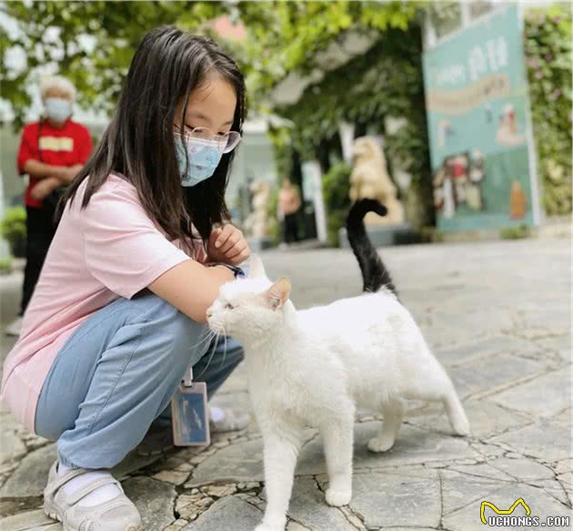 小猫咪好像有那个“社交牛牛症”