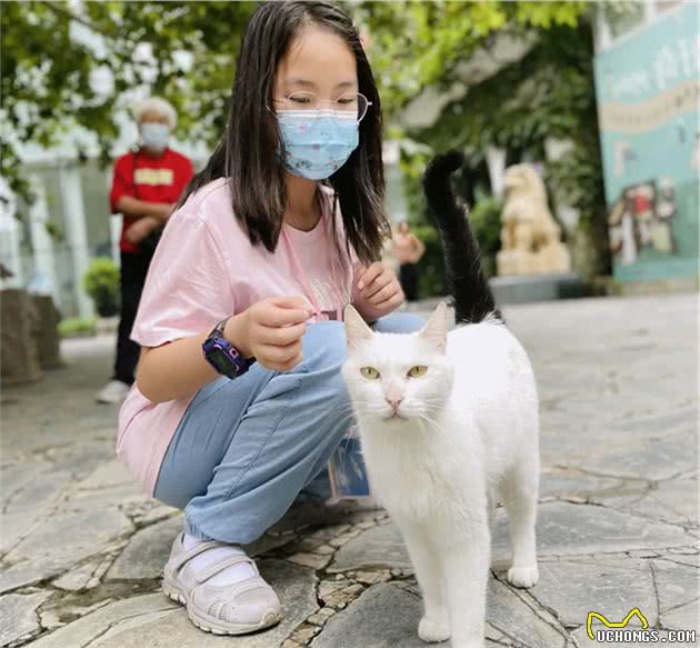 小猫咪好像有那个“社交牛牛症”