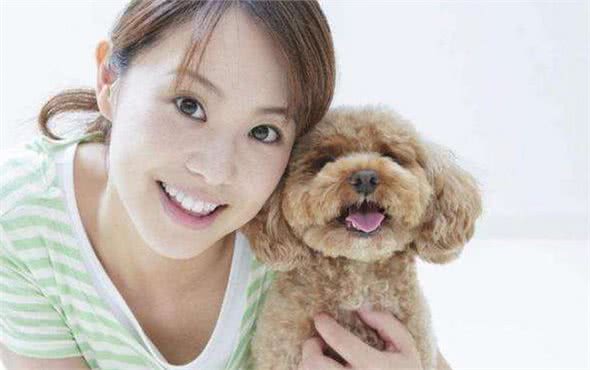 自从养了泰迪犬后，这几种“疾病”接踵而来