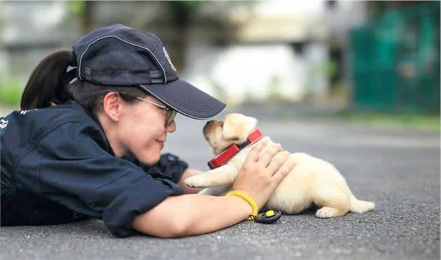 警局新到的一批警犬，小家伙们“超凶”的！网友：哎哟，吓死人啦