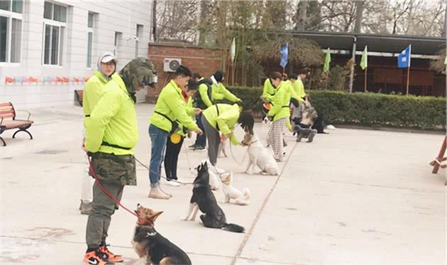 训犬师培训应该去哪里学习好