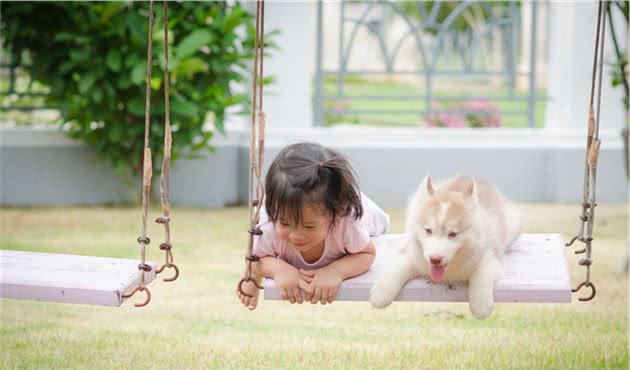 辟谣：“有小孩的家庭不要养狗，对狗子不好”，其实二者不冲突