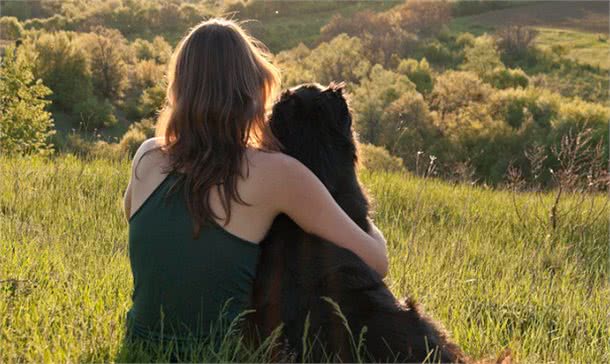 如何表达对自己爱犬的爱，让你家爱犬更听你的，让狗狗安静下来