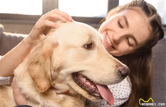 如何表达对自己爱犬的爱，让你家爱犬更听你的，让狗狗安静下来