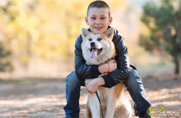 如何表达对自己爱犬的爱，让你家爱犬更听你的，让狗狗安静下来