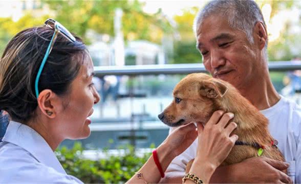 养狗人士的这些行为,让我没有了养狗的欲望