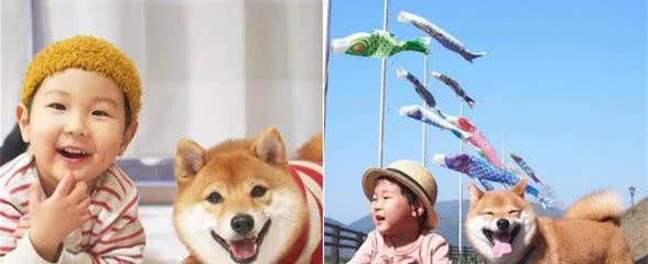 日本人，为什么那么爱“柴犬”？