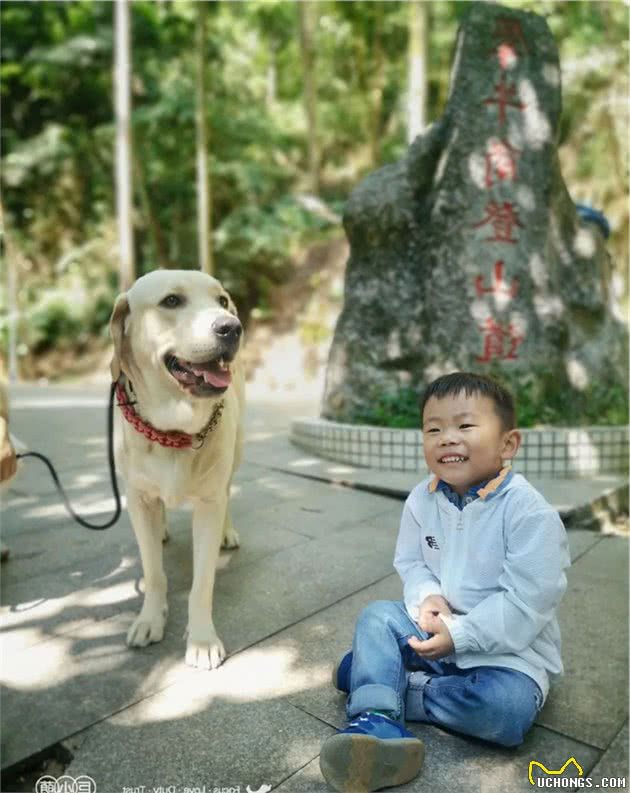 广州带狗爬山聚会，训犬师领队！主人：开始有点做主人的感觉