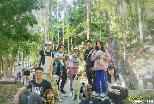 广州带狗爬山聚会，训犬师领队！主人：开始有点做主人的感觉