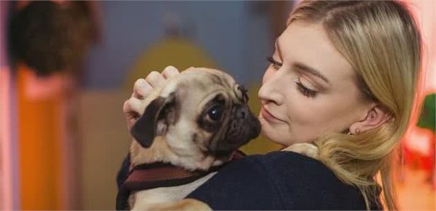 巴哥犬有寄生虫的表现，一旦发现要先驱虫，不然越拖情况越糟