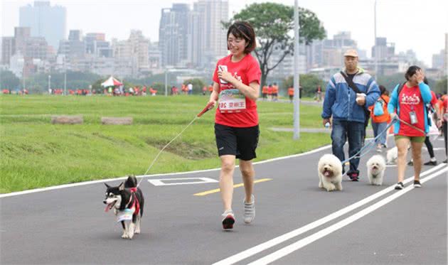 兽医院长语出惊人：不建议狗狗长时间奔跑