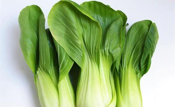 狗狗可以吃青菜么？