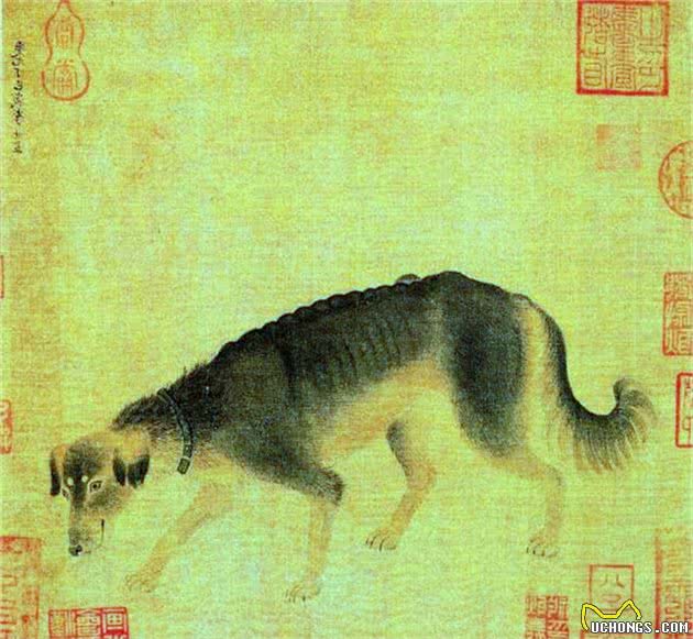 你看到的土狗，其实是古代贵族的爱宠—探析古代的中华田园犬