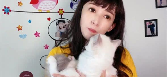 新手养布偶猫牢记这三条选到心仪小仙女