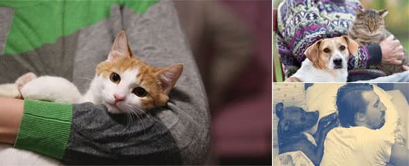 养猫和养狗的4大区别，主人的生活区别巨大，你会喜欢哪一种？