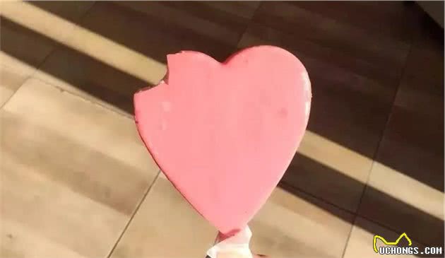 我在非洲养过一条狗