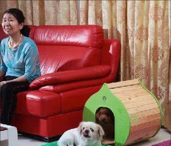 狗狗常见的那些病有哪些？提前了解，有助于更好的预防