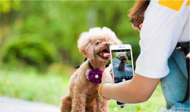 我劝大家还是别轻易养狗，不然这几个副作用会一直跟随你