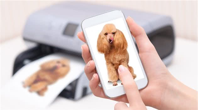 我劝大家还是别轻易养狗，不然这几个副作用会一直跟随你