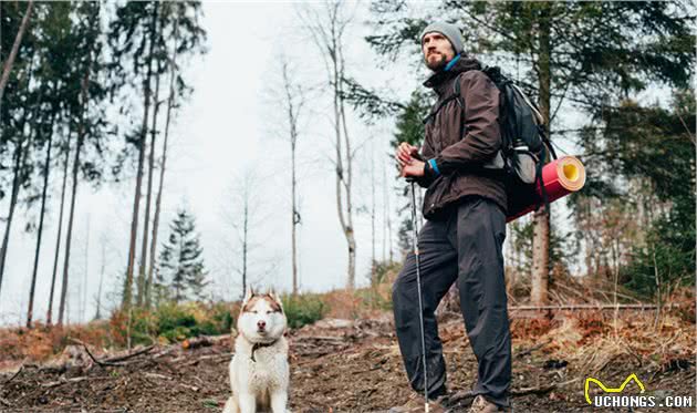 我劝大家还是别轻易养狗，不然这几个副作用会一直跟随你
