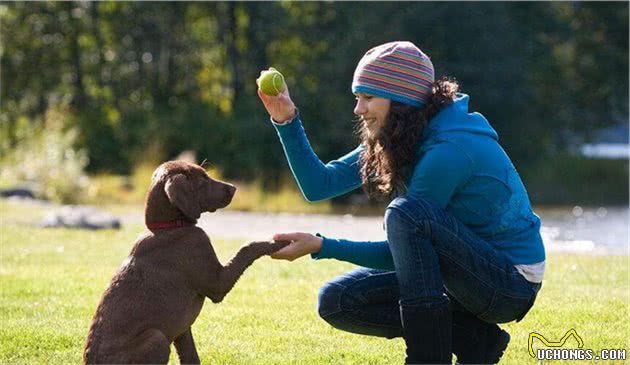 如果你不养一只“拉布拉多犬”，根本不知道这五大好处！