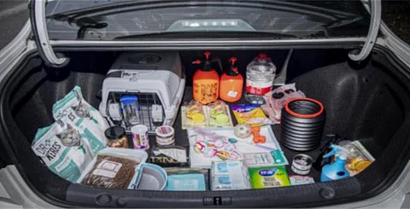 如何对付爱拆家的狗？学学张东升：一起去爬山吗？