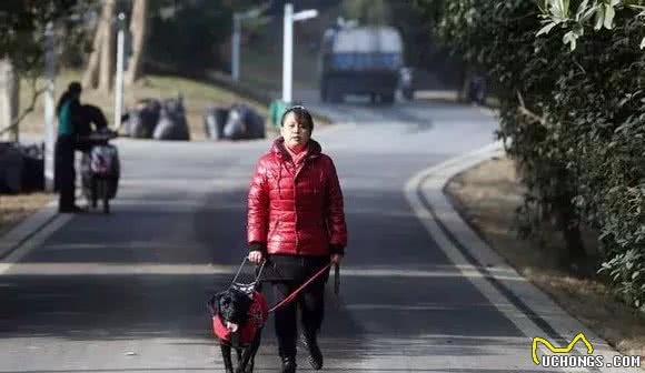 导盲犬尿急没忍住，知道自己犯错，低头的样子忍不住让人鼻子一酸