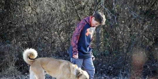 戈赞:十个训狗小妙招学会这些让狗狗更聪明