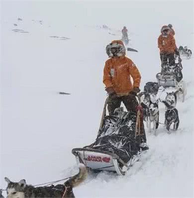 哈士奇终于上场了，拉雪橇极地穿越330公里