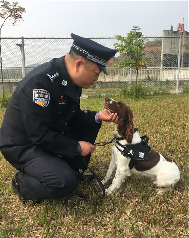 他不是“神探”但他训导的警犬屡破大案