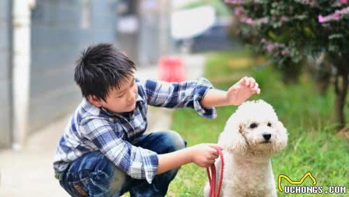 越来越多人养狗，而最喜欢养狗的竟是这几种人