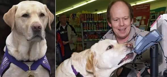 狗狗学会看病挂号,用ATM机等人类技能,一切只因为对主人的爱