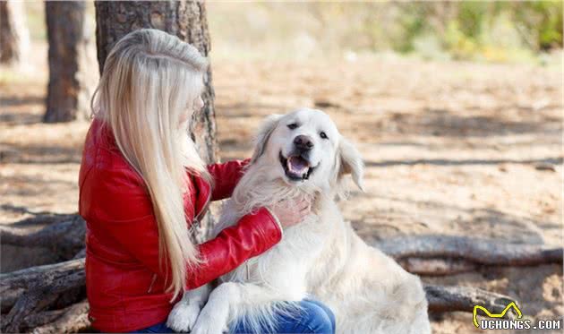 你了解犬的身体语言吗？读懂犬的这些身体语言，让你们更好相处