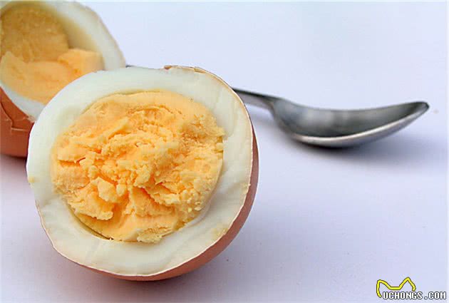 夏天营养流失快，狗狗多吃这6种食物，好吃又健康