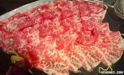 给狗狗买的雨衣发错了款式,穿上后却感觉不对劲,网友:看饿了
