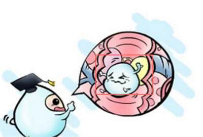 牛奶、羊奶、酸奶、脱脂奶，拉肚子要了你的狗命