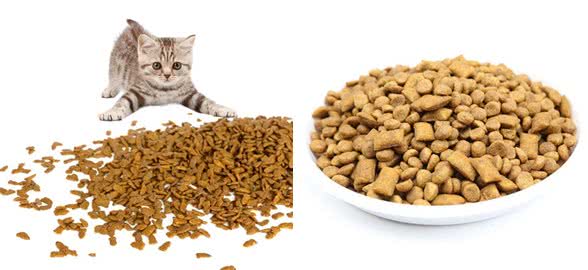 铲屎官必看！不同猫粮适合不同猫咪，千万不要选错了