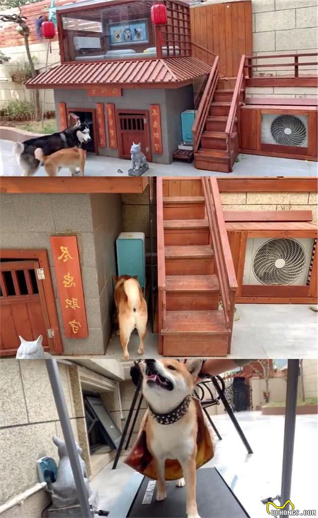 全网数万人出谋划策建狗窝现在已经到了48.0版本了
