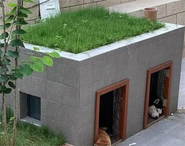 全网数万人出谋划策建狗窝现在已经到了48.0版本了