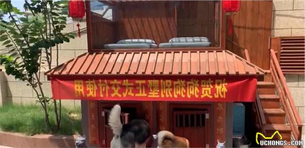 全网数万人出谋划策建狗窝现在已经到了48.0版本了