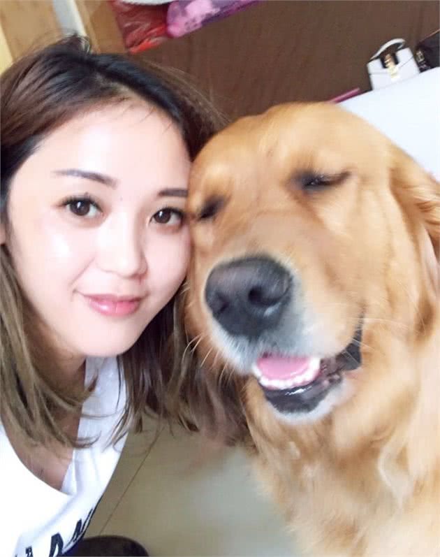 饲养金毛犬最正确的方法，你学会了吗？