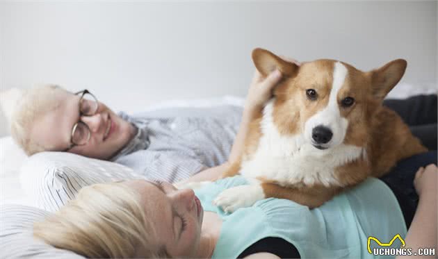 狗狗也有嫉妒心，然而嫉妒的却是我女友，这到底是为什么呢