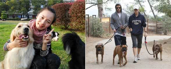 狗狗散步的一些常识您了解吗?